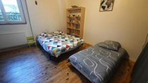 PROMO20-28fev Toulouse15mn APP 3 personnes 2 lits RDC cuisine sde